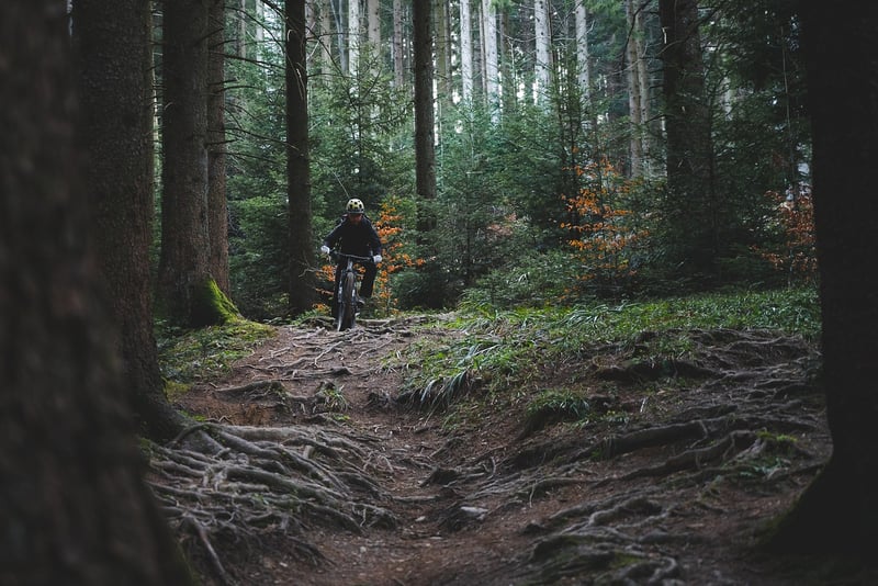Mountain biking